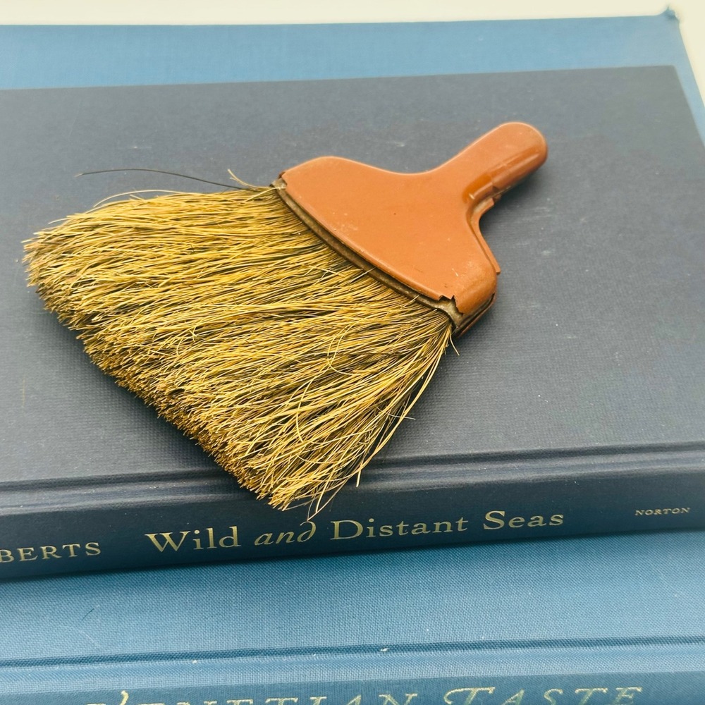 Vintage Hand Whisk Broom Natural‎ Straw Brown Plastic Handle Rustic Decor